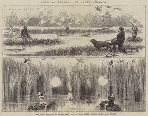 Sport in Midden- en Zuid-Amerika